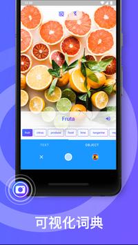 iTranslate 截图 7