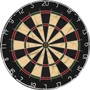 Darts 501 APK