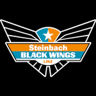 Steinbach Black Wings Linz icône