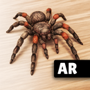 ARSpiders.com: Spider Prank APK
