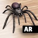 AR Spiders & Co: Scare friends APK