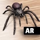 AR Spiders & Co: Scare friends icon