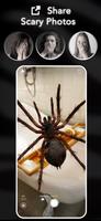 AR Spiders & Co: Scare friends screenshot 1