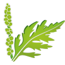 Ragweed Finder APK