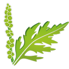 Ragweed Finder icon