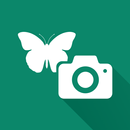 iSCOUT MOBILE - OLD-APK