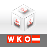 WKO Mobile Services icône