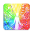 Lichtbegleiter APK
