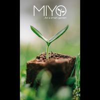 MIYO Affiche