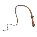 The Whip App PRO APK