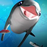 Dolphin Fun Game Puzzle Style