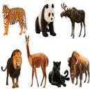 AtoZ Animal Name APK