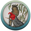 Field Guide to ACT Fauna APK