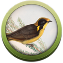 Field Guide to Victorian Fauna APK