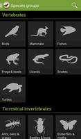 Field Guide to Victorian Fauna Screenshot 1