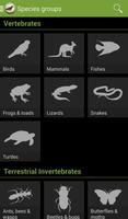 Field Guide to Victorian Fauna screenshot 1