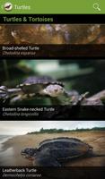 Field Guide to Victorian Fauna Screenshot 2