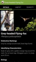 Field Guide to Victorian Fauna Screenshot 3