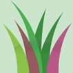 Pasture Dieback Survey-icoon
