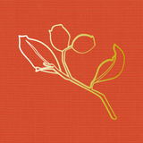Nyiyaparli Flora иконка