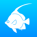Fishes of the Maldives APK