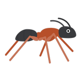 ikon Ant Nuptial Flight Predictor