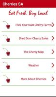 Fresh Cherries 海报