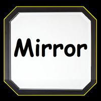 Mirror Affiche