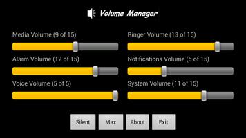 Volume Manager 截图 1