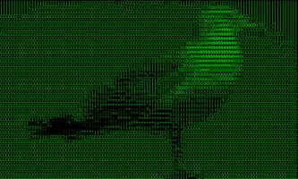 ASCII cam lite โปสเตอร์