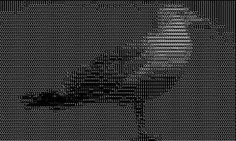 ASCII cam lite ภาพหน้าจอ 1