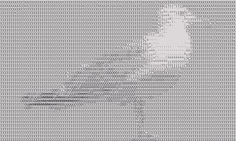 ASCII cam lite ภาพหน้าจอ 2