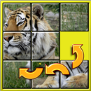 Dierlijke dia puzzels-APK