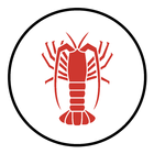 Rock Lobster Catch Monitoring icône