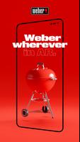 Discover Weber poster