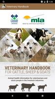 Veterinary Handbook Affiche