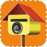 Picture Postie Photo Printing APK