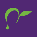 Chatime Australia APK