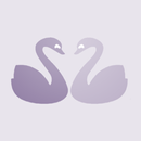 Horoscope Matcher APK
