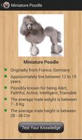 Dog Breeds syot layar 2