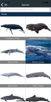 Marine Fauna sightings 截图 1