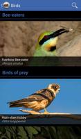 Field Guide to NSW Fauna capture d'écran 1