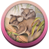 Field Guide Queensland Fauna icône
