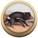 Field Guide to Tasmanian Fauna APK