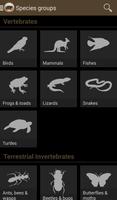Field Guide to Tasmanian Fauna capture d'écran 1