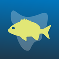 Fishing Tas
