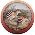 Field Guide to WA Fauna