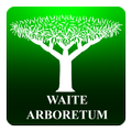 Waite Arboretum