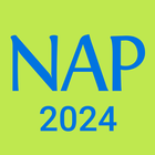 NAP Locked down browser icône