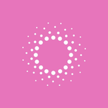 The Little Market Bunch